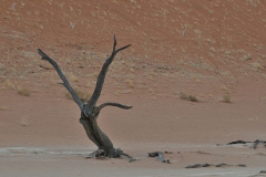 nam_ni_09_391